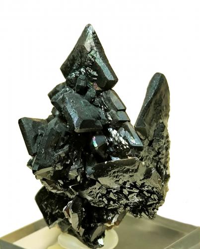 Descloizite<br />Berg Aukas, Distrito Grootfontein, Región Otjozondjupa, Namibia<br />60 mm × 45 mm. Largest crystal: 18 mm on edge. Mass: 83 g.<br /> (Author: Carles Millan)