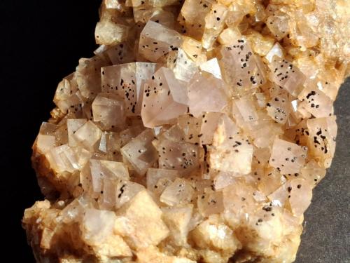 Fluorite, Pyrite<br />Mina Vignola, Valsugana, Vignola-Falesina, Provincia Trento, Trentino-Alto Adige (Trentino-Südtirol), Italia<br />10 x 5,5 cm<br /> (Author: Volkmar Stingl)