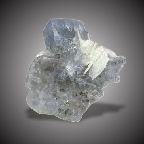 Fluorita y Barita<br />Mina Jaimina, filón Obdulia, Zona Minera Caravia, Trechorio, Carrales, Caravia, Comarca Oriente, Principado de Asturias (Asturias), España<br />7x6,5cm.<br /> (Autor: castrominerals)