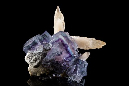 Fluorite, Calcite<br />Mina Minerva I, formación Rosiclare, Grupo Ozark-Mahoning, Sub-Distrito Cave-in-Rock, Condado Hardin, Illinois, USA<br />6 x 7 x 8 cm / main crystal: 5.1 cm<br /> (Author: MIM Museum)