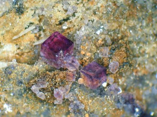 Fluorita, Barita, Cuarzo<br />Mina San Camilo, Vista Alegre, Cartagena, Comarca Campo de Cartagena, Región de Murcia (Murcia), España<br />Cristal mayor 1,5 mm.<br /> (Autor: Antonio P. López)