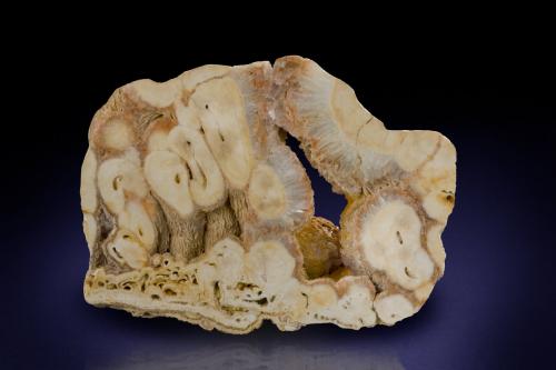 Baryte<br />Dirtlow Rake, Castleton, High Peak District, Derbyshire, England / United Kingdom<br />10 x 7.5 cm<br /> (Author: Kevin Schofield)
