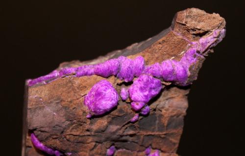 Sugilite<br />Mina N'Chwaning III, Zona minera N'Chwaning, Kuruman, Kalahari manganese field (KMF), Provincia Septentrional del Cabo, Sudáfrica<br />7.8 x 5.2 cm<br /> (Author: Don Lum)