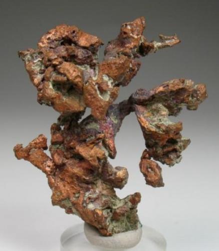 Cobre<br />Península Keweenaw, Michigan, USA<br />5 x 4 x 1,5 cm<br /> (Autor: Antonio Alcaide)