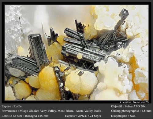 Rutile<br />Glaciar Miage, Valle Veny, Macizo Monte Bianco (Macizo Mont Blanc), Courmayeur, Valle de Aosta (Val d'Aosta), Italia<br />fov 1.8 mm<br /> (Author: ploum)