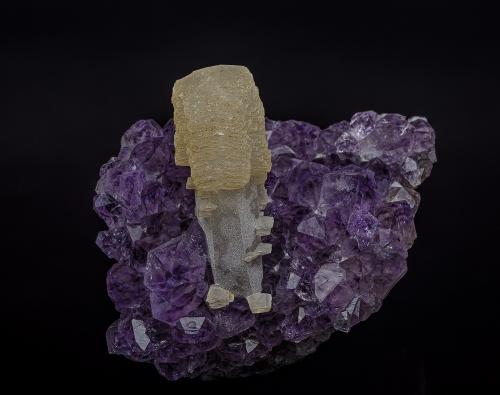 Calcite, Quartz (variety amethyst)<br />Rio Grande do Sul, Brasil<br />6.2 x 6.2 cm<br /> (Author: am mizunaka)