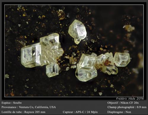 Sulphur<br />Condado Ventura, California, USA<br />fov 0.9 mm<br /> (Author: ploum)