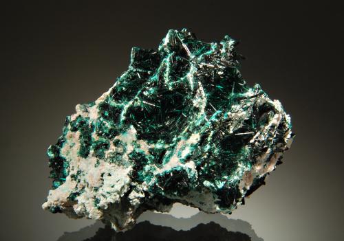 Brochantite<br />Mina Milpillas, Cuitaca, Municipio Santa Cruz, Sonora, México<br />5.8 x 7.9 cm<br /> (Author: crosstimber)