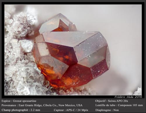 Spessartine (Garnet Group) and Quartz<br />Sierra East Grants, Condado Cibola, New Mexico, USA<br />fov 2.2 mm<br /> (Author: ploum)