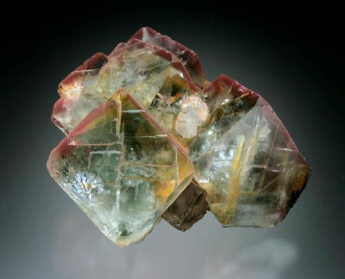 Fluorite<br />Rottleberode, Stolberg, Distrito Mansfeld-Südharz, Harz, Sajonia-Anhalt/Sachsen-Anhalt, Alemania<br /><br /> (Author: Jesse Fisher)