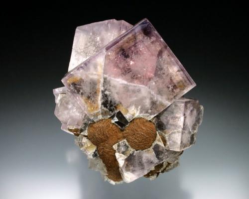 Fluorite with Siderite<br />Weardale, North Pennines Orefield, County Durham, Inglaterra / Reino Unido<br />8x7x6 cm overall size<br /> (Author: Jesse Fisher)