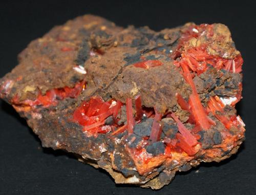 Crocoite<br />Dundas, Distrito Zeehan, Consejo Costa Oeste, Tasmania, Australia<br />60mm x 40mm x20mm<br /> (Author: Philippe Durand)