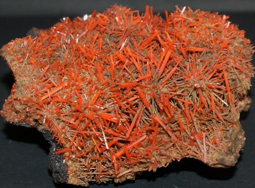 Crocoite<br />Mina Adelaide, Campo minero Dundas, Distrito Zeehan, Consejo Costa Oeste, Tasmania, Australia<br />85mm x 80mm x 45mm<br /> (Author: Philippe Durand)