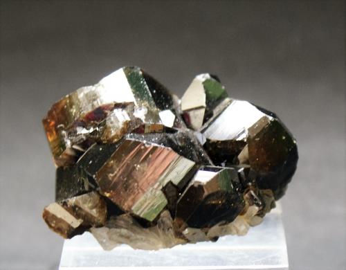 Cassiterite<br />Mina Viloco, Sección San Antonio, Provincia Loayza, Departamento La Paz, Bolivia<br />45mm x 30mm x 25mm<br /> (Author: Philippe Durand)