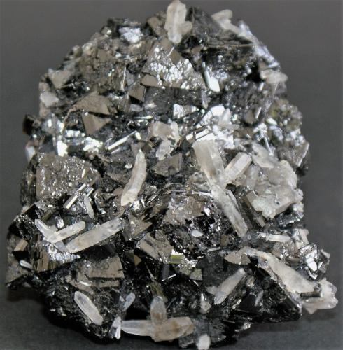 Cassiterite<br />Mina Viloco, Sección San Antonio, Provincia Loayza, Departamento La Paz, Bolivia<br />55mm x 52mm x 20<br /> (Author: Philippe Durand)