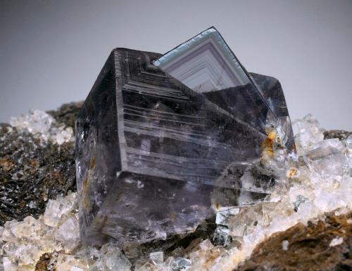 Fluorite<br />Mina Boltsburn, Distrito Rookhope, Weardale, North Pennines Orefield, County Durham, Inglaterra / Reino Unido<br />1.5 cm<br /> (Author: Jesse Fisher)