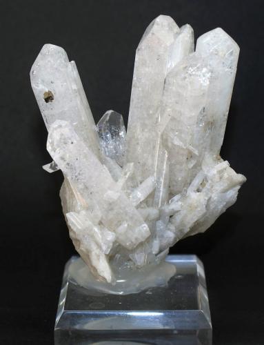 Danburite and Pyrite<br />Mina San Bartolo, Charcas, Municipio Charcas, San Luis Potosí, México<br />80mm x 70mm x 45mm<br /> (Author: Philippe Durand)