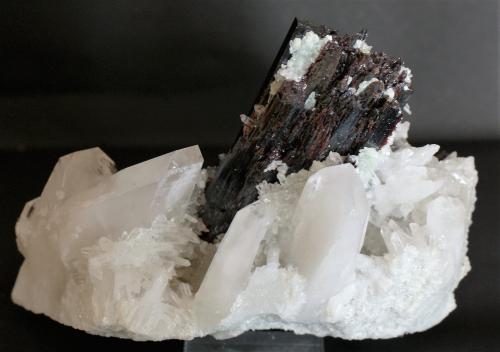 Hübnerite and Quartz<br />Pasto Bueno, Distrito Pampas, Provincia Pallasca, Departamento Ancash, Perú<br />135mm x 100m x 50mm<br /> (Author: Philippe Durand)