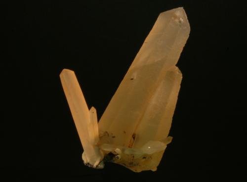 Cuarzo   ( variedad citrino )<br />Macizo Itremo, Distrito Ambatofinandrahana, Fianarantsoa, Madagascar.<br />cristal mayor 6 cm<br /> (Autor: Ricardo Fimia)