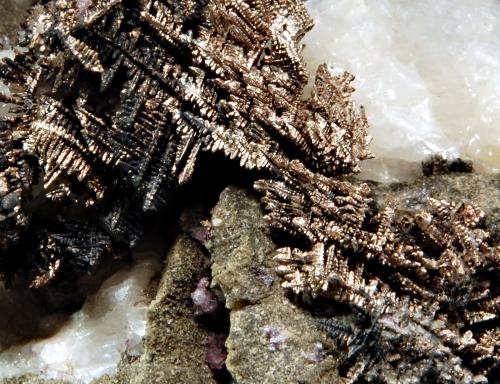 Close up of above specimen showing the herringbone pattern of the silver. Several small purple fluorites are visible in bottom center of the photo. (Author: crosstimber)