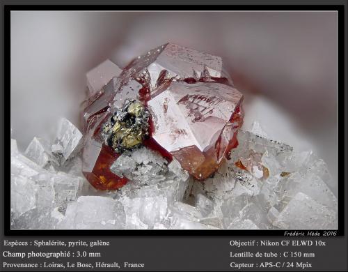 Sphalerite, Pyrite, Galena and Dolomite<br />Cantera Usclas-du-Bosc, Le Bosc, Cantón Lodève, Distrito Lodève, Hérault, Occitanie, Francia<br />fov 3.0 mm<br /> (Author: ploum)