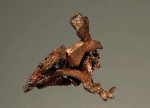 Copper<br />Mina Adventure, Greenland, Condado Ontonagon, Michigan, USA<br />2.4 x 2.6 cm<br /> (Author: crosstimber)