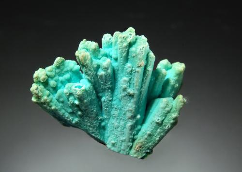 Chrysocolla<br />Minas Ray, Zona Scott Mountain, Distrito Mineral Creek, Montes Dripping Spring, Condado Pinal, Arizona, USA<br />1.9 x 2.1 cm<br /> (Author: crosstimber)