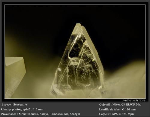 Senegalite<br />Kourou Diakouma Mount, Saraya, Tambacounda Region, Senegal<br />fov 1.5 mm<br /> (Author: ploum)