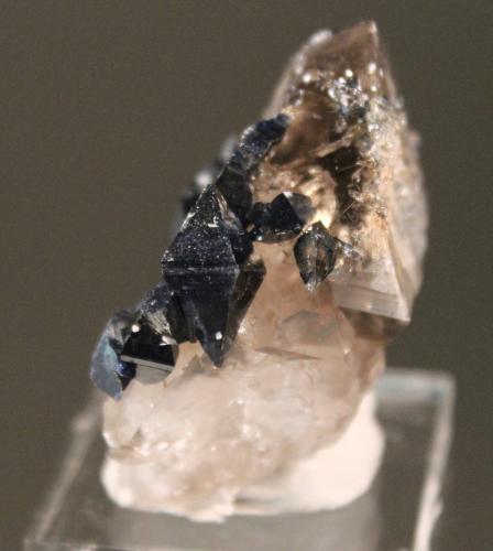 Anatase, Quartz<br />Valdres, Austlandet, Østlandet (Región Noruega del Este), Noruega<br />4.5 x 4.0 cm<br /> (Author: Don Lum)