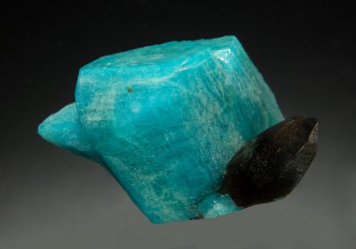 Microcline (variety amazonite)<br />Concesión Smoky Hawk, Zona Crystal Peak, Condado Teller, Colorado, USA<br />2.0 x 2.7 cm<br /> (Author: crosstimber)