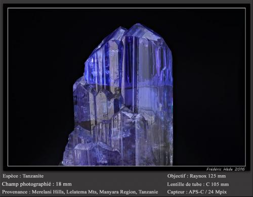 Tanzanite<br />Merelani, Montes Lelatema, Distrito Simanjiro, Región Manyara, Tanzania<br />fov 18 mm<br /> (Author: ploum)