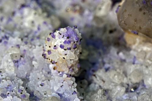 Quartz (variety smoky quartz), Fluorite, Calcite, Marcasite<br />Cantera Francon, Montréal, Distrito St. Michel, Condado Jacques Cartier, Québec, Canadá<br /><br /> (Author: am mizunaka)