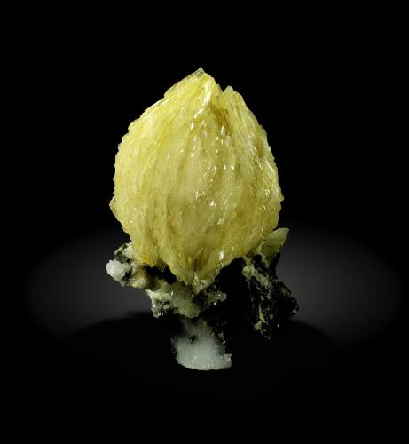 Barite<br />Mina Bou Nahas, zona minera Oumjrane, Comunidad Alnif, Provincia Tinghir, Región Drâa-Tafilalet, Marruecos<br />11 cm<br /> (Author: Enrique Llorens)