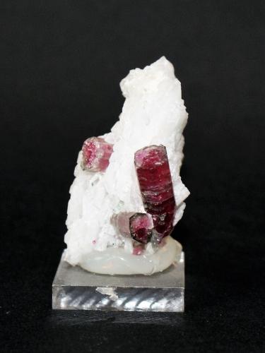 Elbaite and Albite (variety cleavelandite)<br />Concesión Pederneira, São José da Safira, Governador Valadares, Vale do Rio Doce, Minas Gerais, Brasil<br />45mm x 30mm x 20mm<br /> (Author: Philippe Durand)