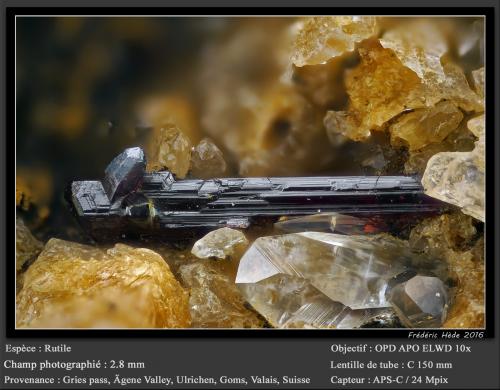 Rutile<br />Gries Pass, Formazza, Valle Formazza, Valle Ossola, Provincia Verbano-Cusio-Ossola, Piamonte (Piemonte), Italia<br />fov 2.8 mm<br /> (Author: ploum)