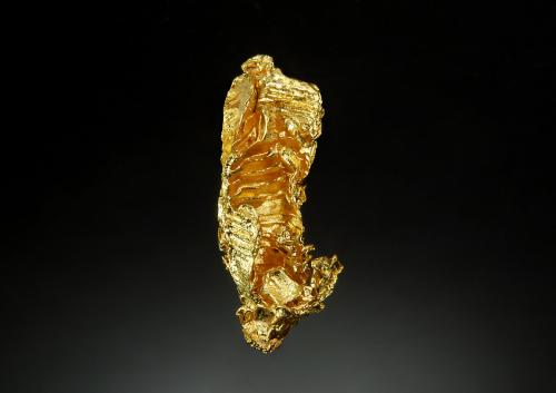 Gold<br />Concesiones Serra do Caldeirão, Pontes e Lacerda, Distrito Alto Guaporé, Mato Grosso, Brasil<br />2.0 x 4.0 cm<br /> (Author: crosstimber)