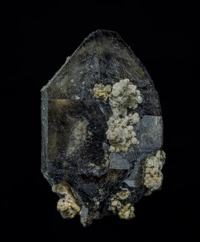 Quartz (variety smoky quartz), Albite<br />Mont Saint-Hilaire, La Vallée-du-Richelieu RCM, Montérégie, Québec, Canadá<br />4.2 x 2.7 cm<br /> (Author: am mizunaka)