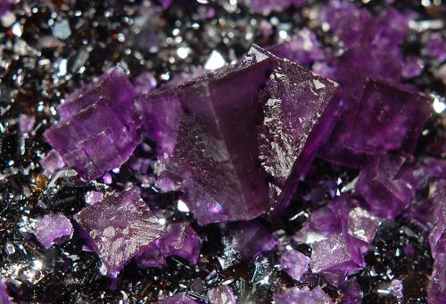 Fluorite<br />Mina Annabel Lee, Sub-Distrito Harris Creek, Condado Hardin, Illinois, USA<br />6.2 x 8.5 cm<br /> (Author: crosstimber)