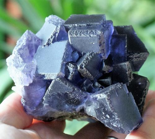 Fluorite<br />Mina La Viesca, Geoda <i>La Negrina</i>, zona minera de La Collada, Huergo, Siero, Comarca Oviedo, Principado de Asturias (Asturias), España<br />100mm x 90mm x 80mm<br /> (Author: Philippe Durand)