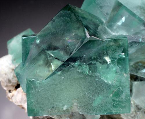 Fluorite<br />Mina Heights Pasture, Westgate, Weardale, North Pennines Orefield, County Durham, Inglaterra / Reino Unido<br /><br /> (Author: Jesse Fisher)