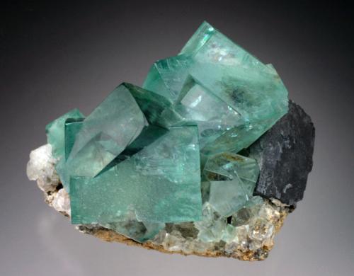 Fluorite, Galena<br />Mina Heights Pasture, Westgate, Weardale, North Pennines Orefield, County Durham, Inglaterra / Reino Unido<br />7x5x4 cm overall size<br /> (Author: Jesse Fisher)