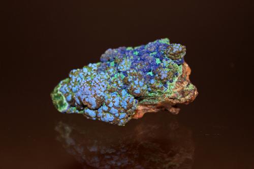 Azurite, Malachite<br />Mina Morenci, Morenci, Distrito Copper Mountain, Montes Shannon, Condado Greenlee, Arizona, USA<br />61mm x 40mm<br /> (Author: Don Lum)