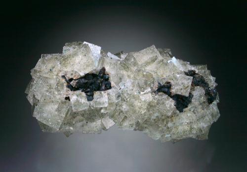 Fluorite, Galena<br />Mina Ladywash, Eyam, Derbyshire, Inglaterra / Reino Unido<br />13x6x5 cm<br /> (Author: Jesse Fisher)