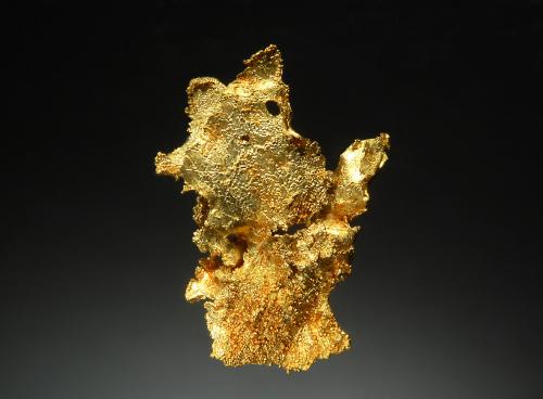 Gold<br />Colina Farncomb, barranco French, Breckenridge, Distrito Breckenridge, Condado Summit, Colorado, USA<br />2.1 x 2.9 cm<br /> (Author: crosstimber)