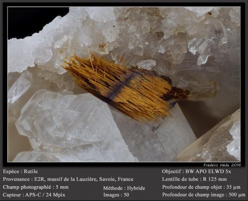 Rutile<br />Entre-deux-Roches, Macizo La Lauzière, Saint-Jean-de-Maurienne, Saboya, Auvergne-Rhône-Alpes, Francia<br />fov 5 mm<br /> (Author: ploum)