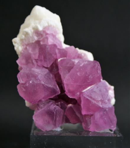 Fluorite<br />Mina Navidad, Abasolo, Rodeo, Municipio de Rodeo, Durango, México<br />80mm x55mm x 40mm<br /> (Author: Philippe Durand)