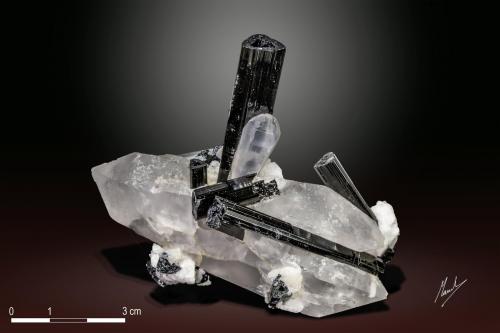 Quartz and Schorl<br />Valle Shigar, Distrito Shigar, Gilgit-Baltistan (Áreas del Norte), Paquistán<br />81 x 63 mm<br /> (Author: Manuel Mesa)