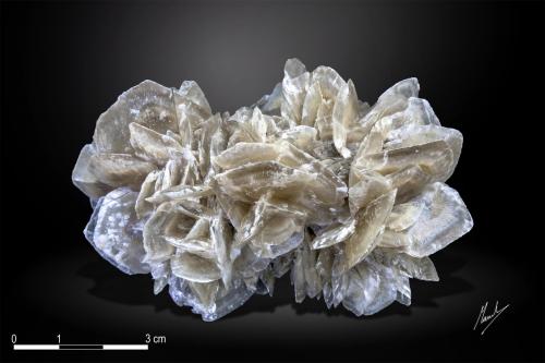 Gypsum<br />Teruel, Aragón, España<br />89 x 53 mm<br /> (Author: Manuel Mesa)