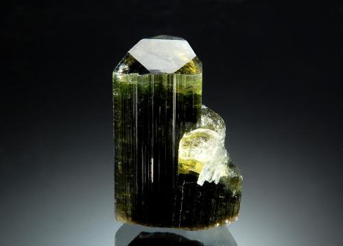 Elbaite<br />Stak Nala, Montes Haramosh, Distrito Skardu, Gilgit-Baltistan (Áreas del Norte), Paquistán<br />1.8 x 2.5 cm<br /> (Author: crosstimber)