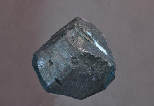 Calcosina<br />Mina Bristol Copper , Bristol, Hartford Company, Connecticut, USA<br />3 x 3 cm<br /> (Autor: Ricardo Fimia)